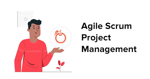 Agile Project Management Video